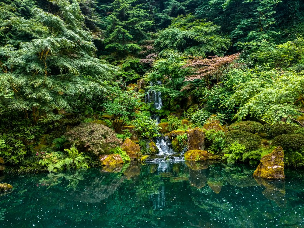 IMG_20180621_142111641_HDR